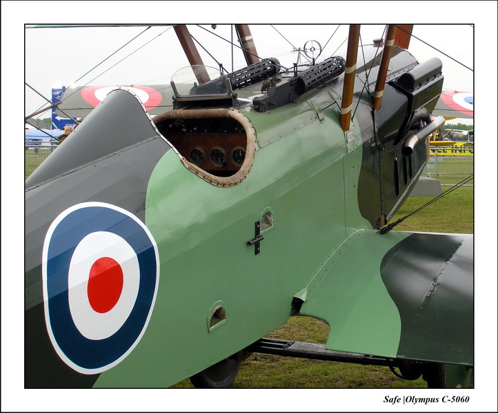 2005 - 05 - Fw-44 Stieglitz  - 08.JPG